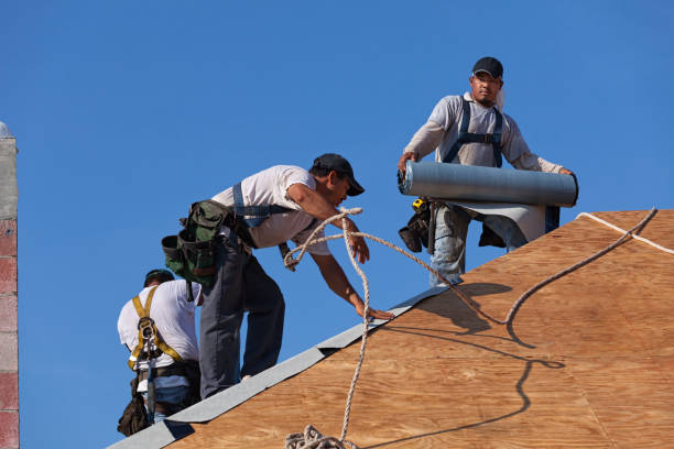 Best Roof Repair Services  in Minnehaha, WA